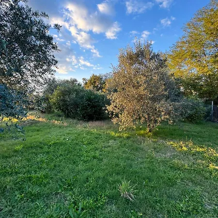 Casa de Campo Poggio Loccano Montevarchi