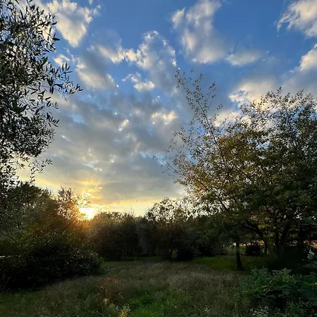 Poggio Loccano Venkovský dům
